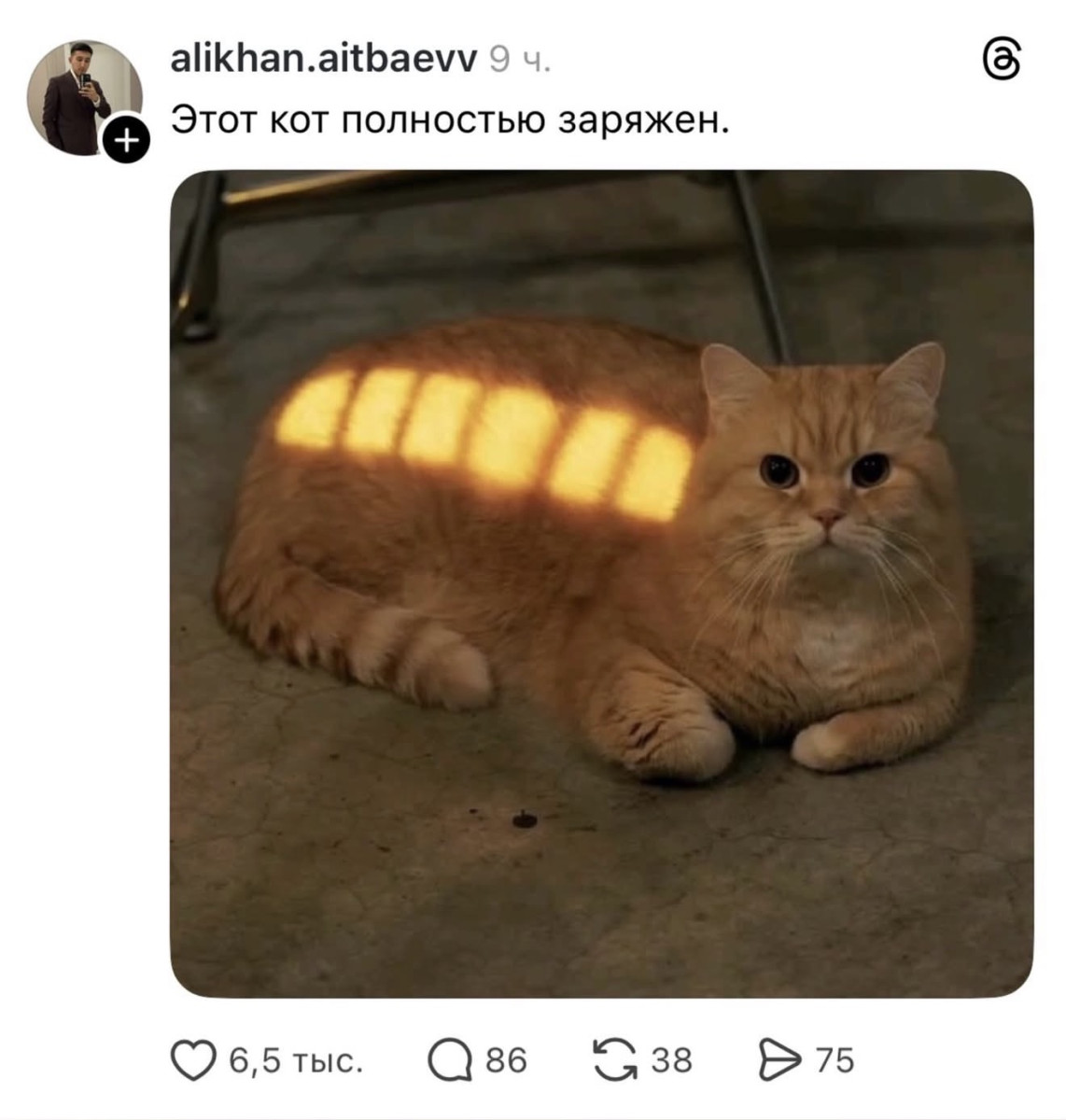 Подборка мемов