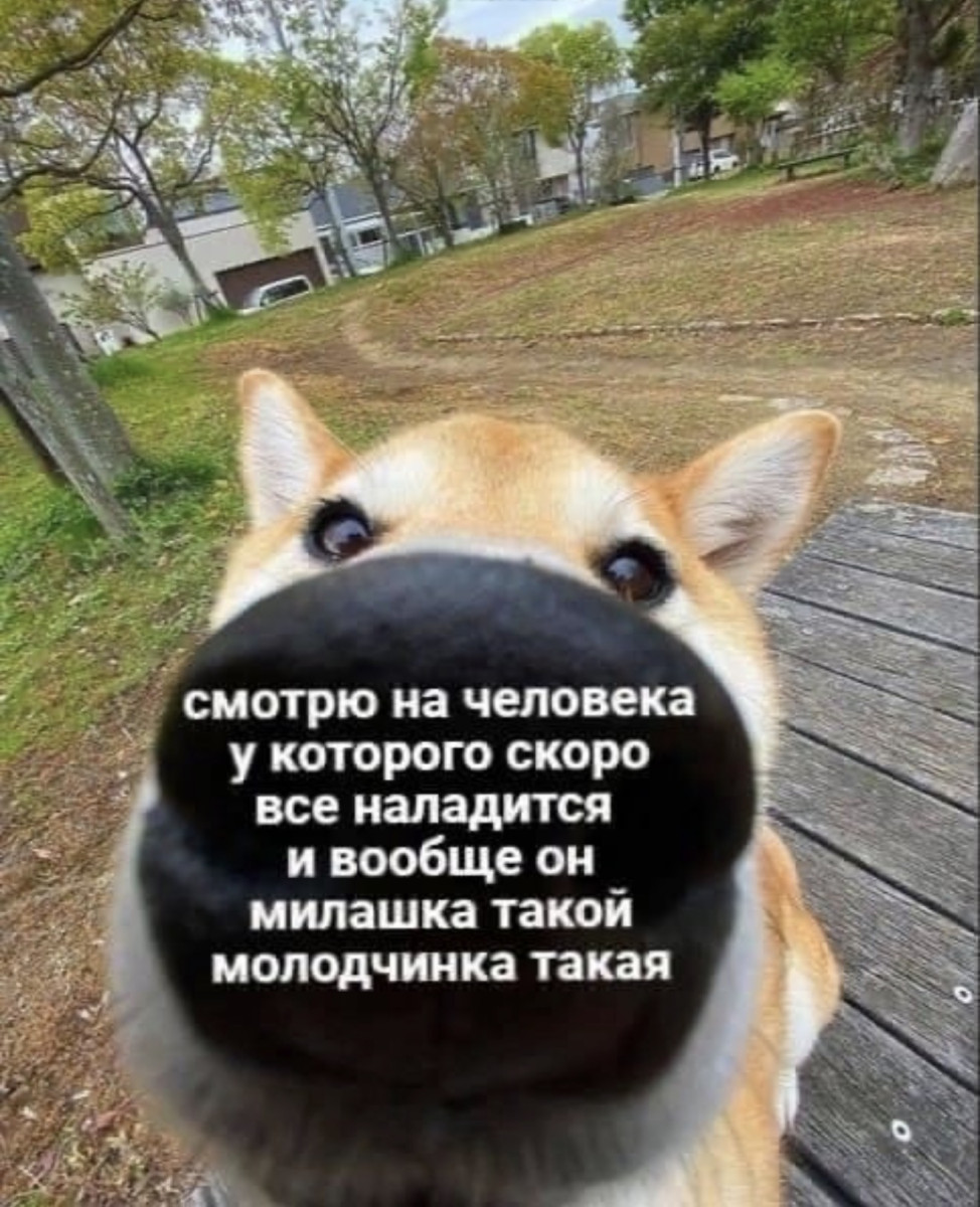 Подборка мемов