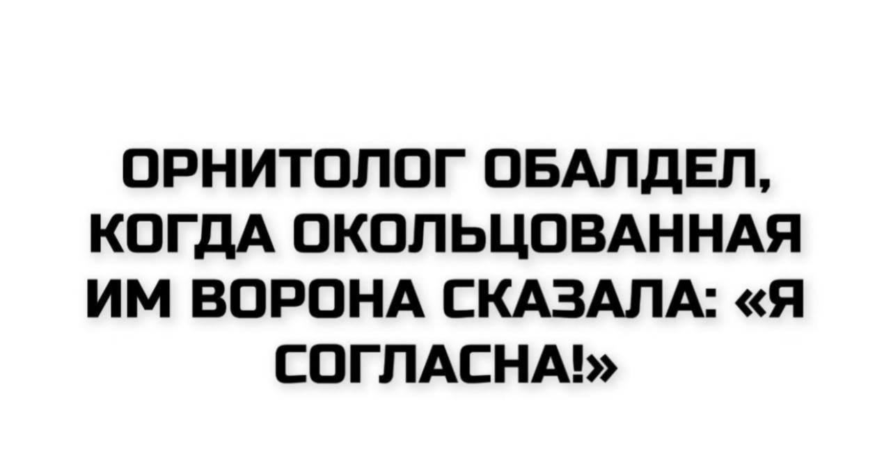 Подборка мемов