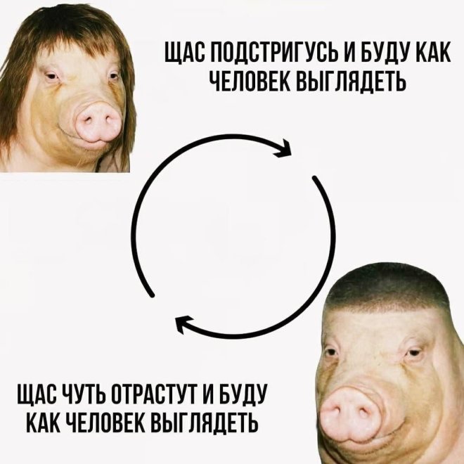 Подборка мемов