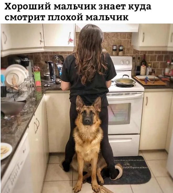 Подборка мемов