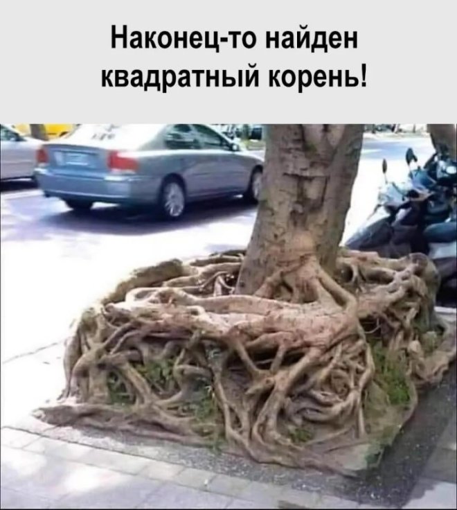 Подборка мемов