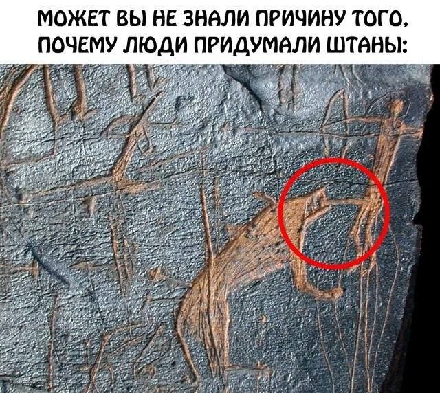 Подборка мемов