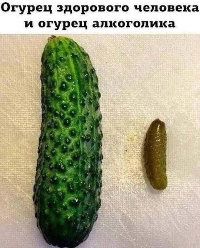 Подборка мемов