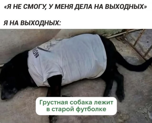 Подборка мемов