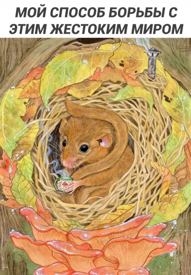 Подборка мемов