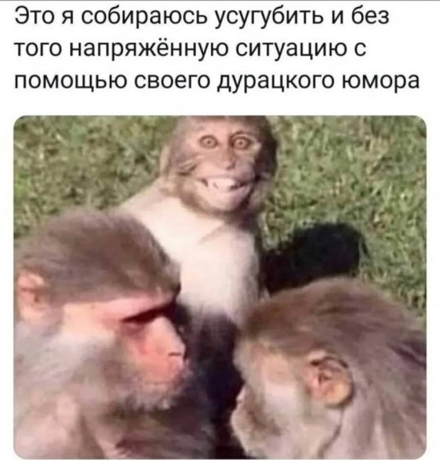 Подборка мемов