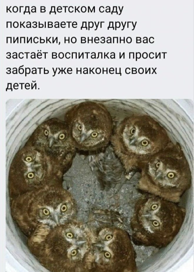 Подборка мемов