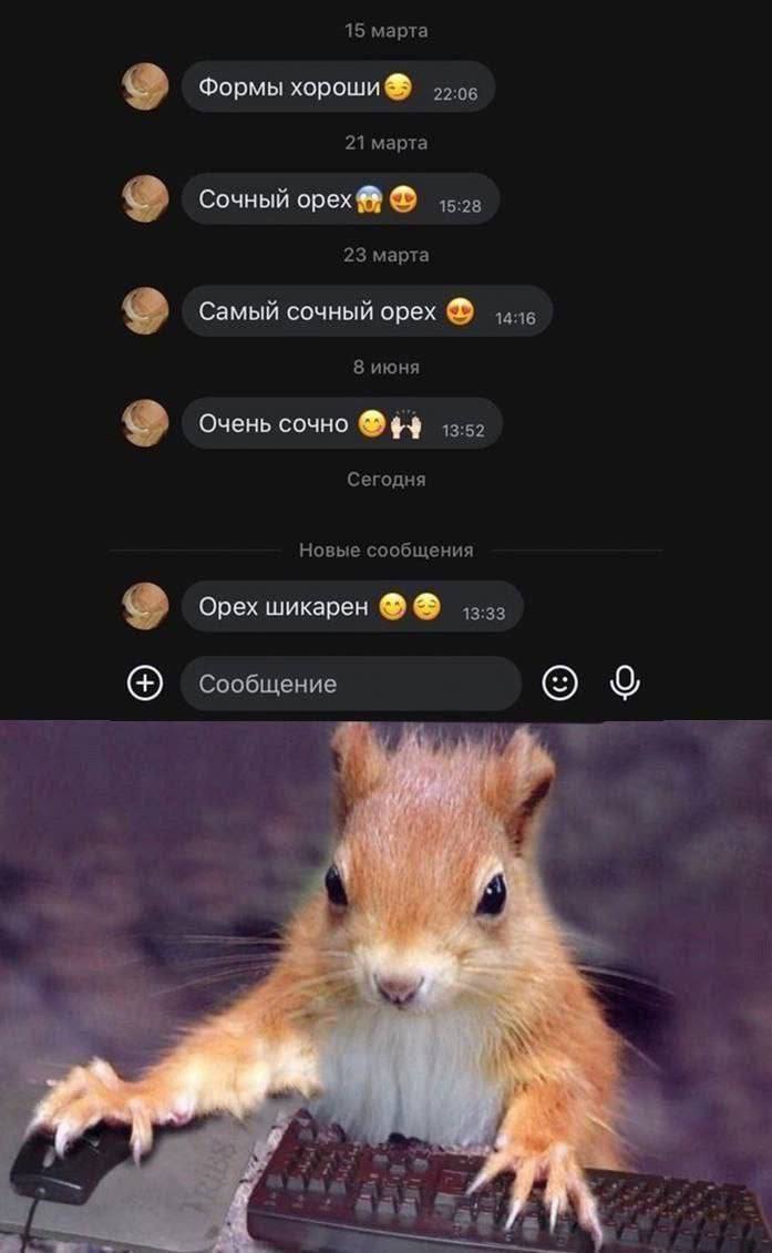 Подборка мемов