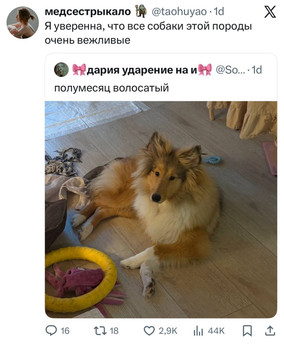 Подборка мемов