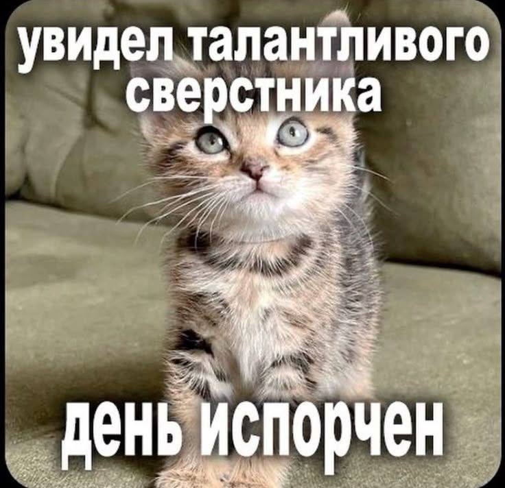 Подборка мемов